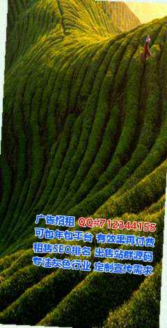 横山代母市政公司
